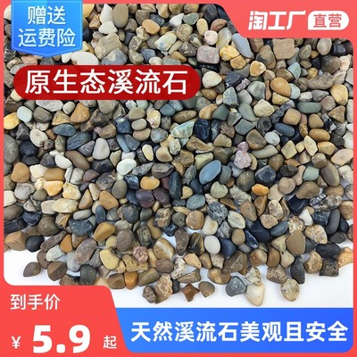 当前网购流行产品