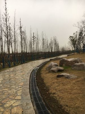 南京霸王公园施工现场